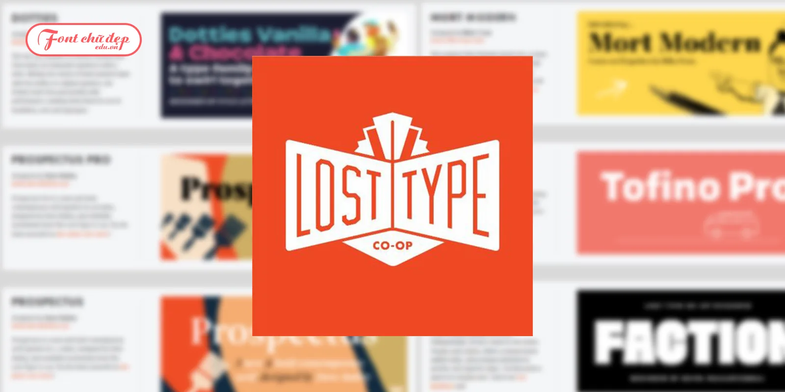 Lost Type Co-op